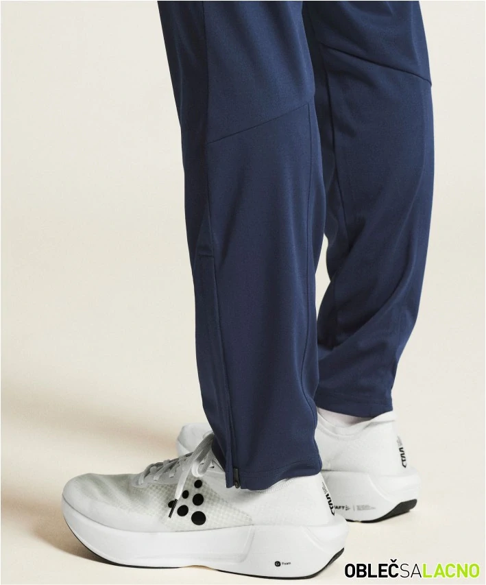 Pánské tréningové tepláky EVOLVE 2.0 PANTS M Craft